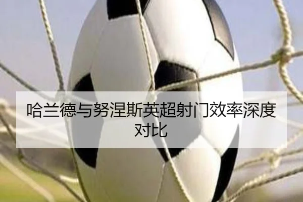 img_1791619555035_234_1_435.jpg
